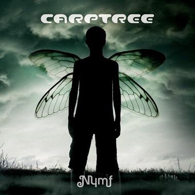 Carptree -  Nymf